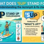 SUP Acronym Meaning